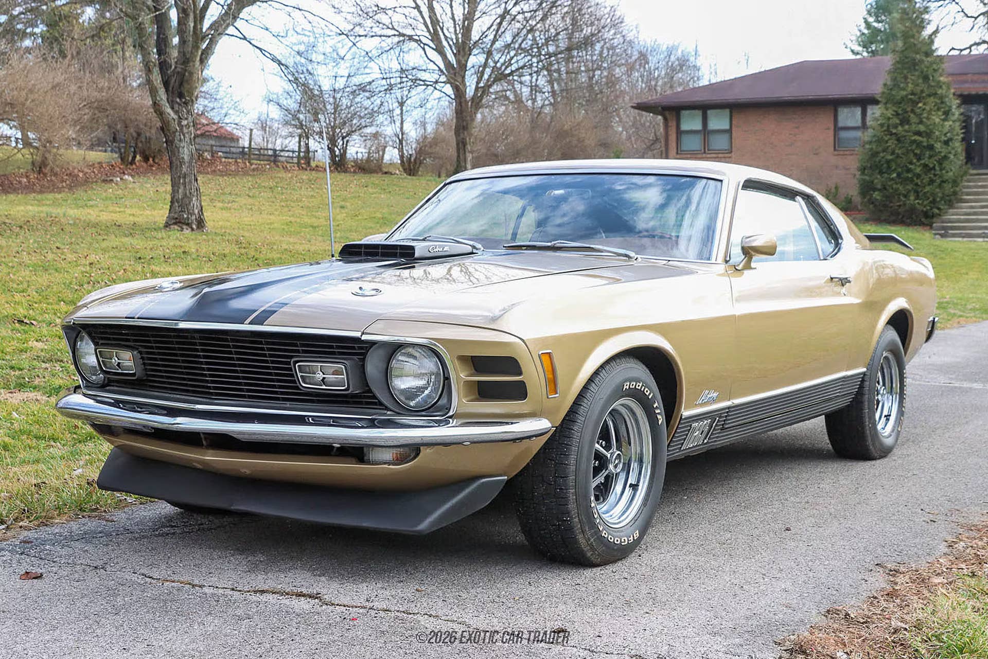 428 Super Cobra Jet Engine For Sale