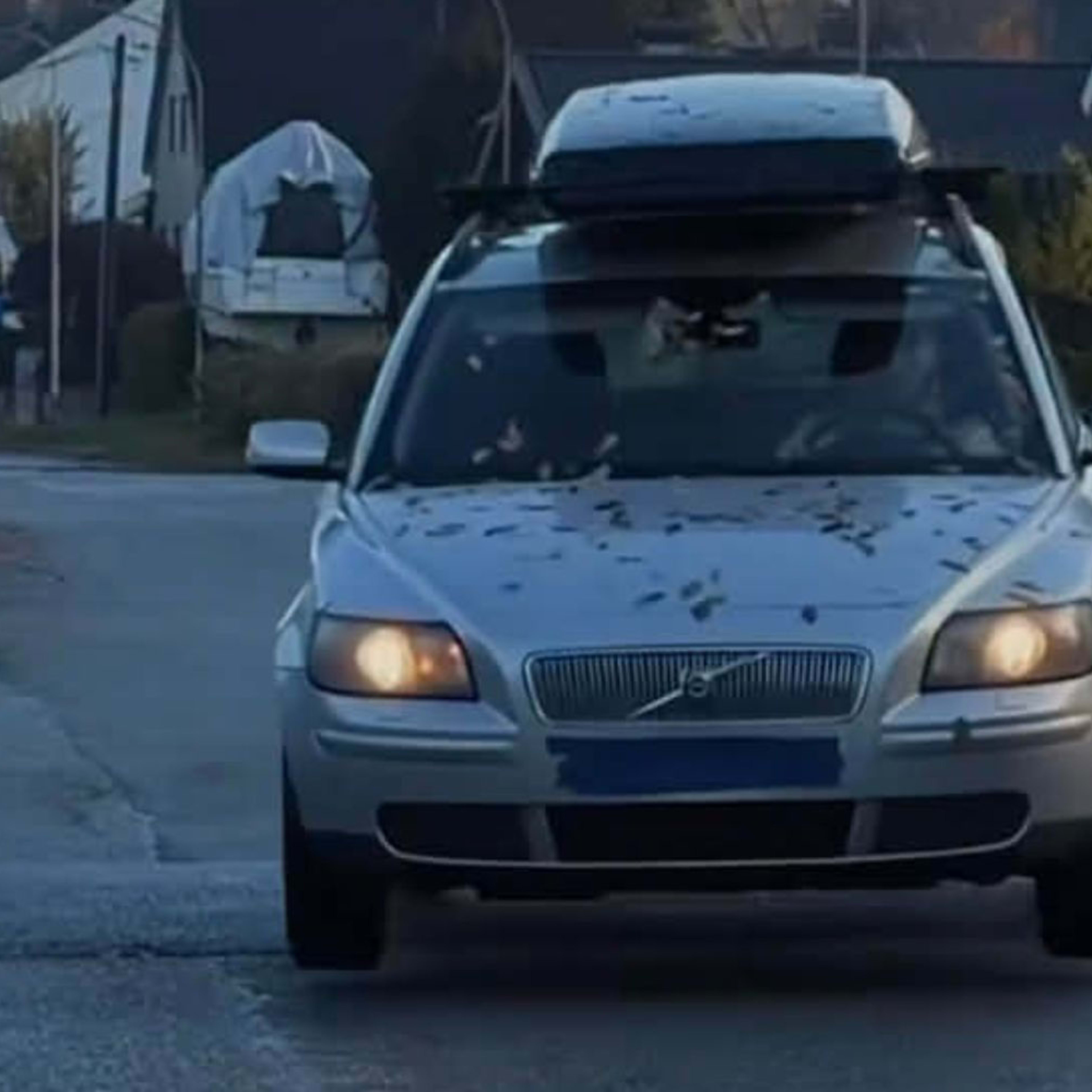 Deleting Your Suspension is a Hilariously Dumb Thing to Do