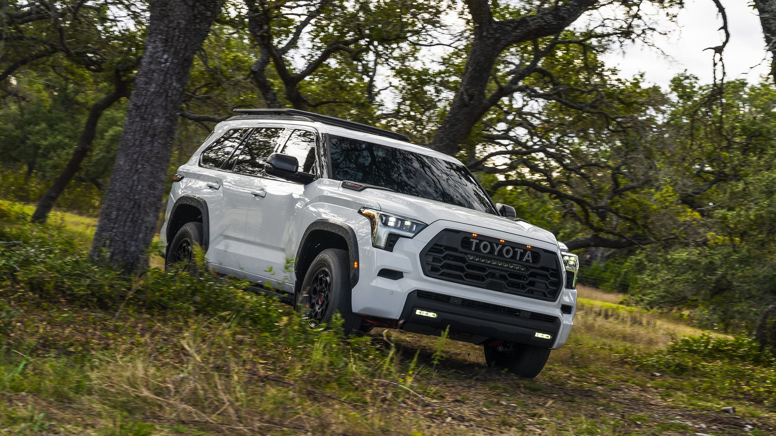 2024 Toyota Sequoia Review: Big and powerful, but very compromised ...
