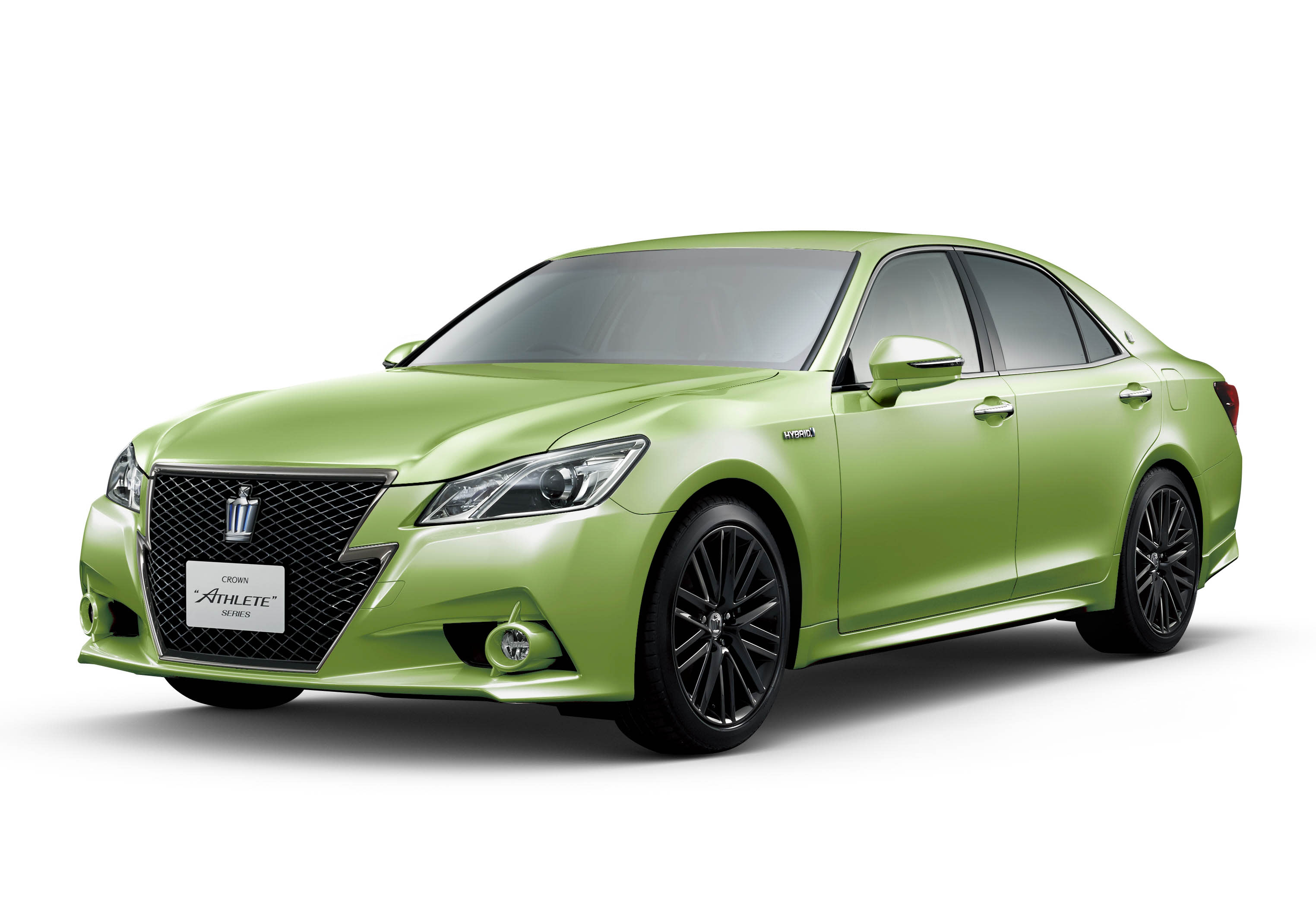 ソニーエンジェル ローレルクラウングリーン Laurel crown green