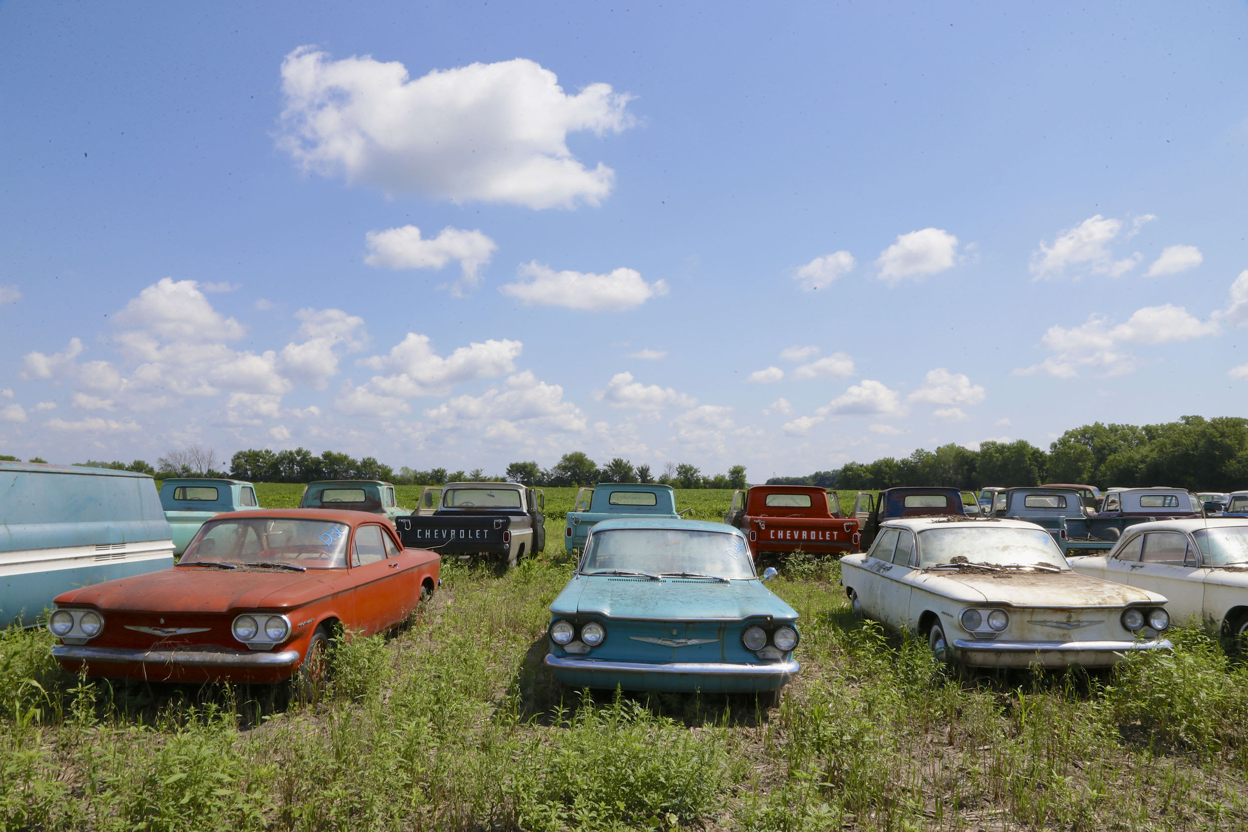 In this Aug. 12, 2013 photo, rare Corvairs and pickup trucks are lined up in a field near the former Lambrecht Chevrolet car dealership in Pierce, Neb. In September, bidders from at least a dozen countries and all 50 U.S. states will converge on Pierce, a town of about 1,800 in northeast Nebraska, for a two-day auction that will feature about 500 old cars and trucks, mostly Chevrolets that went unsold during the dealership?s five decades in business. About 50 have fewer than 20 miles on the odometer, and some are so rare that no one has established a price. The most valuable could fetch six-figure bids. (AP Photo/Nati Harnik)