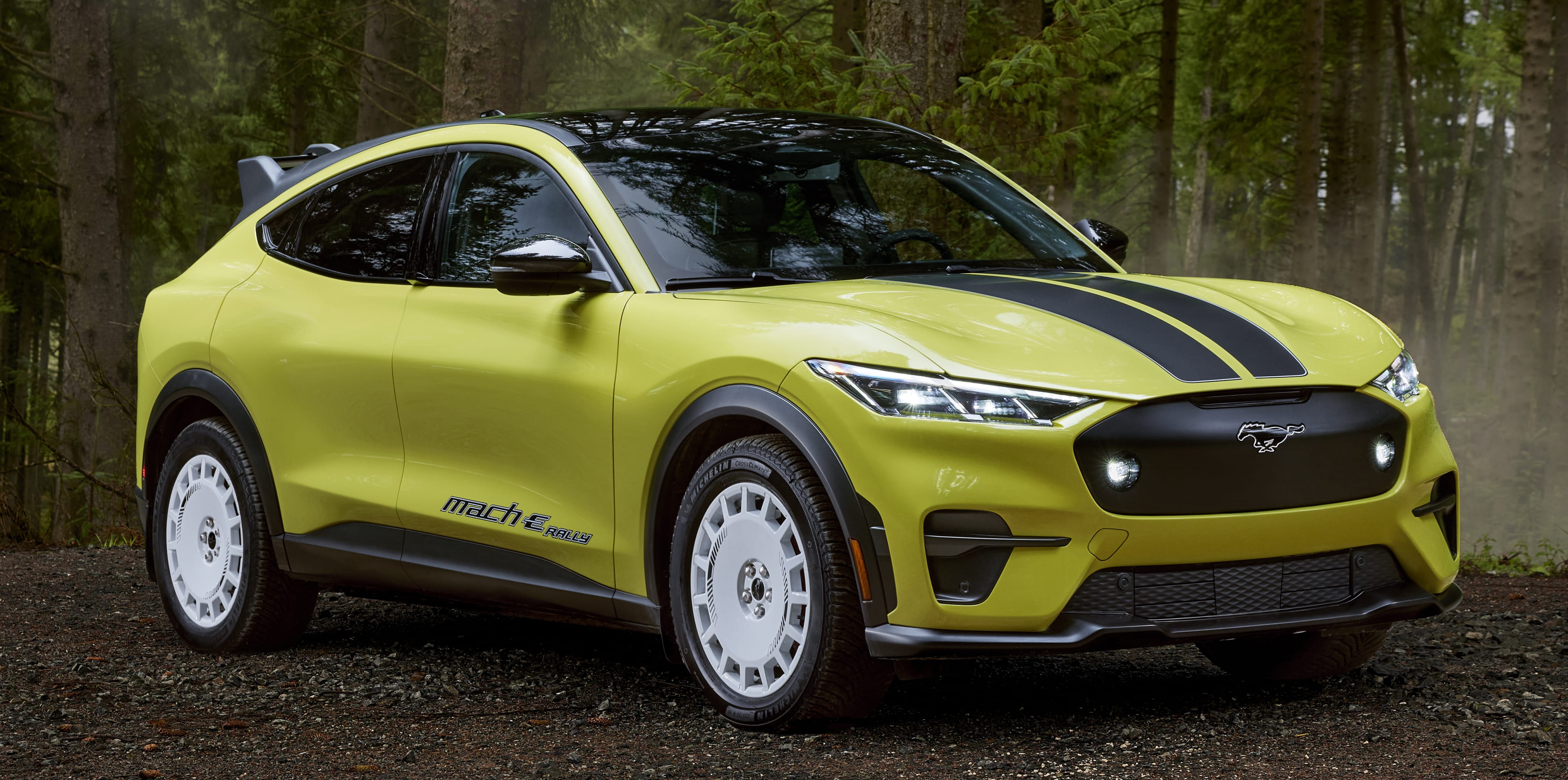 Ford Mustang Mach E Rally vs Hyundai Ioniq 5 XRT: Battle of the ...