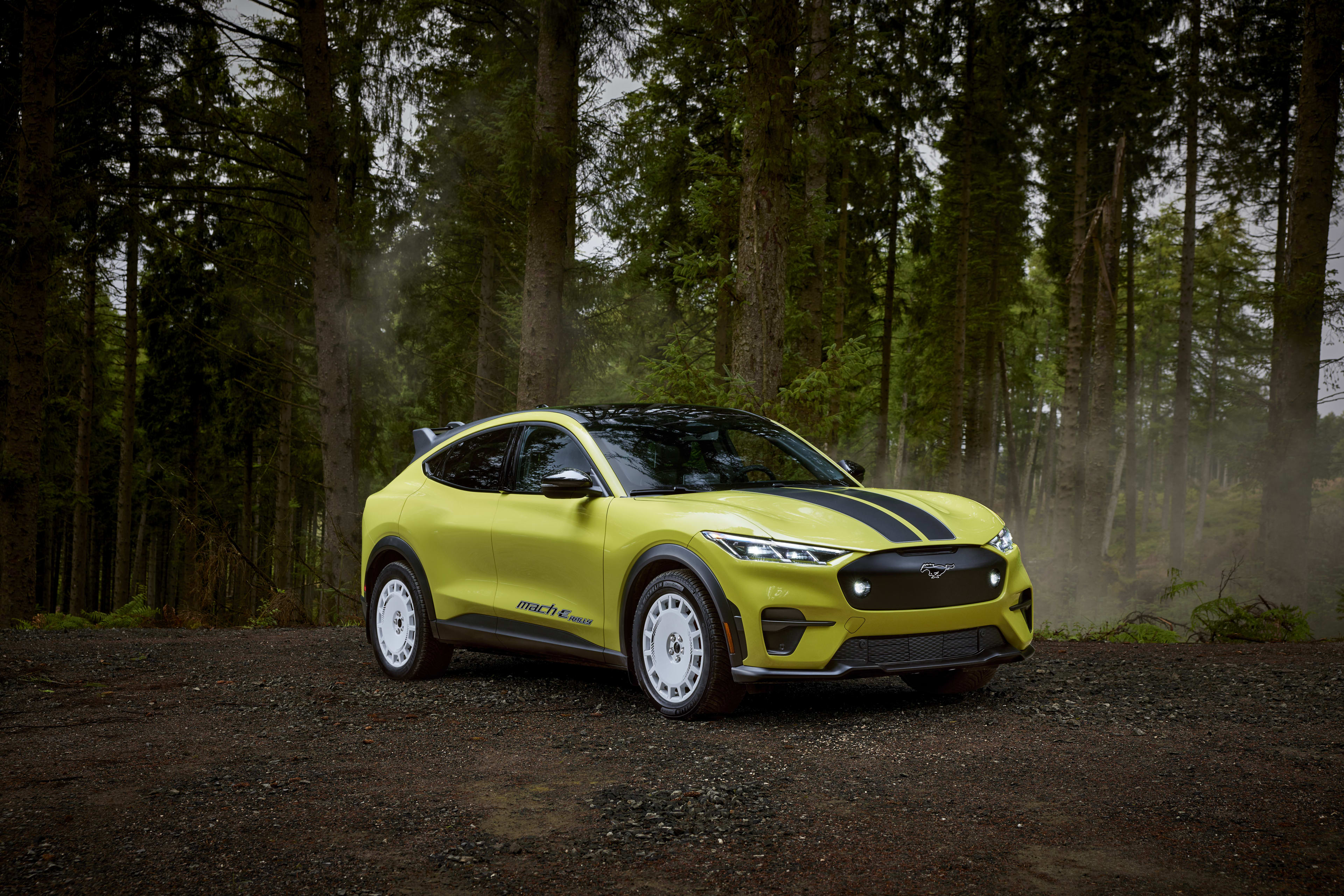 The Stunning Ford Ev Failure: Billions In Losses, What Went Wrong? - lqq7x69