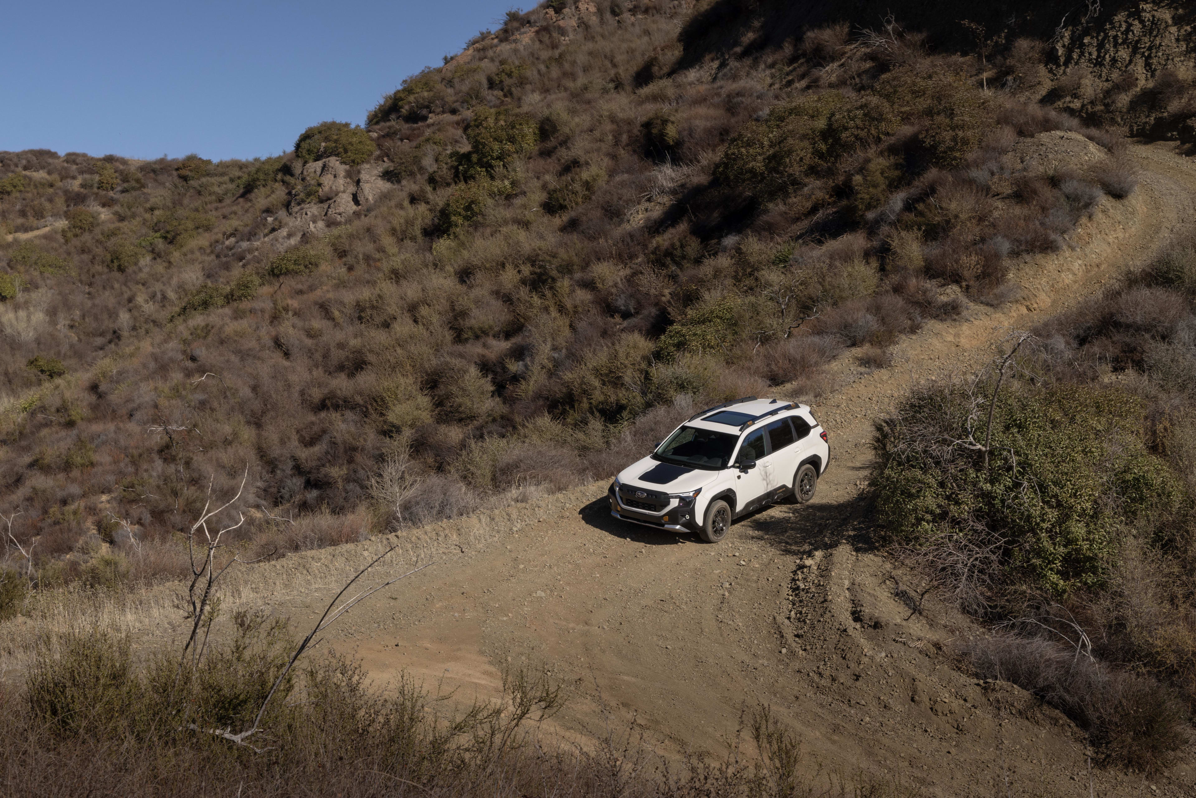 When do the 2026 subaru foresters come out