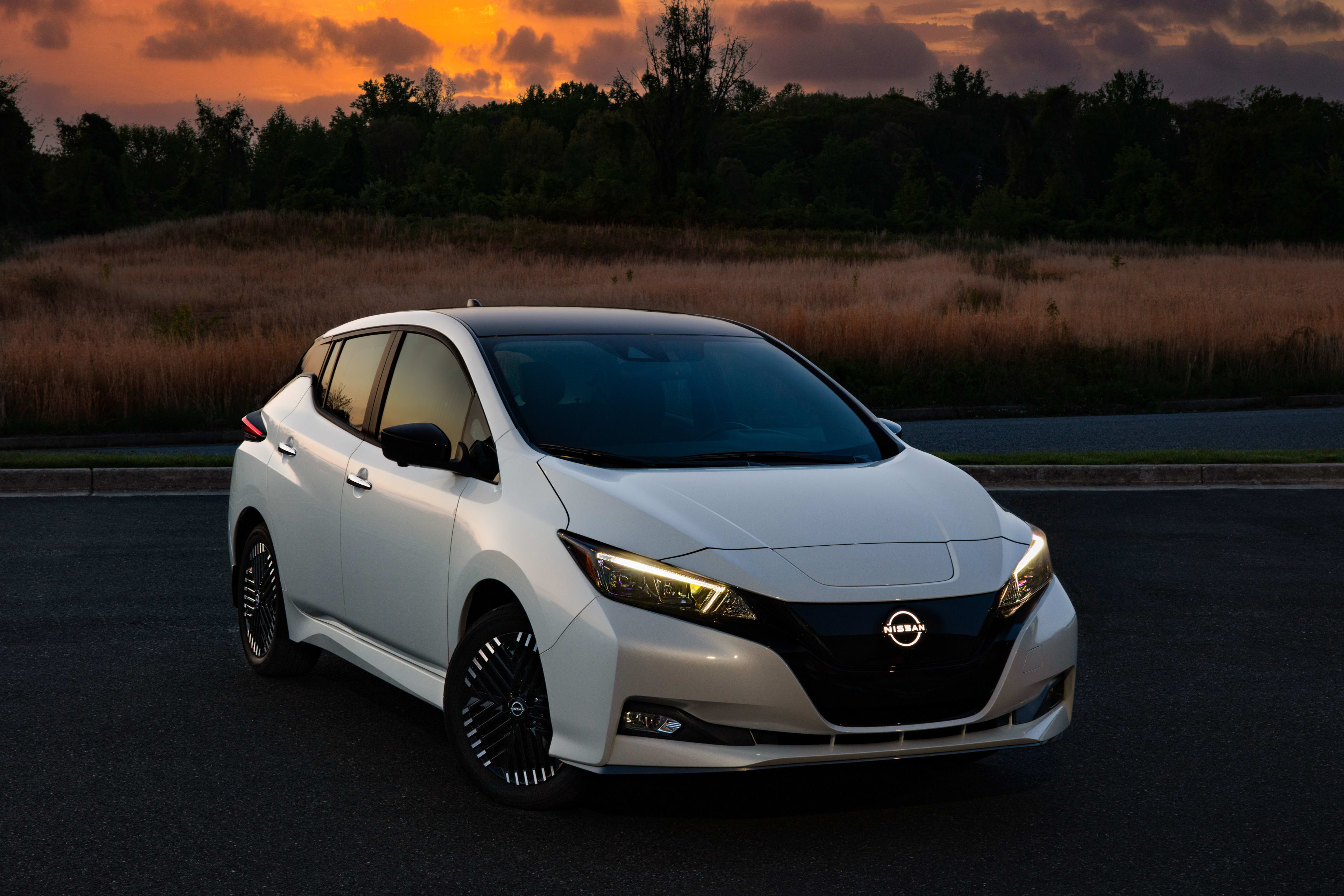 Q-eyes LEAF非売品　自動運転テストカー　どっ金　Nissan 日産 特性が分かれば評価は一転！ 自動運転 チョロQ Q-eyes QE-01