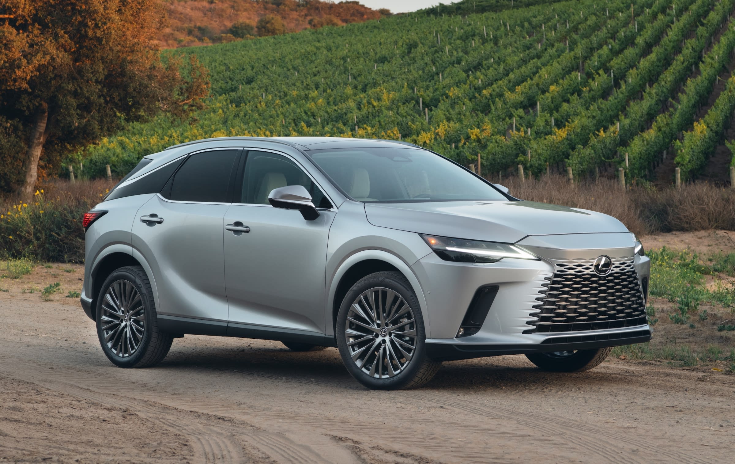 2025 Lexus RX 350h Luxury