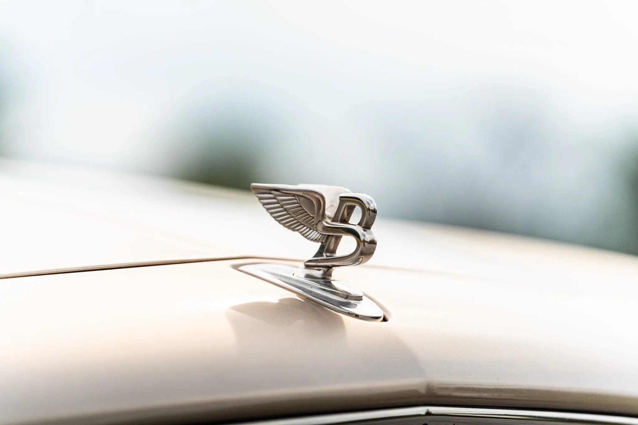 2012 Bentley Mulsanne with 25K Miles Bidding for Mercedes C-Class Money: Unmatched Luxury Value 4 2012 Bentley Mulsanne hood ornament